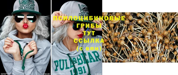 кристаллы Богданович