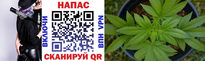KRAKEN как войти  Кореновск  МАРИХУАНА конопля  где можно купить наркотик 